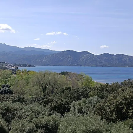 Embarquement Au Marine Du Soleil Patrimonio