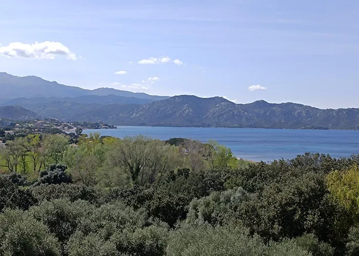 Embarquement Au Marine Du Soleil Patrimonio