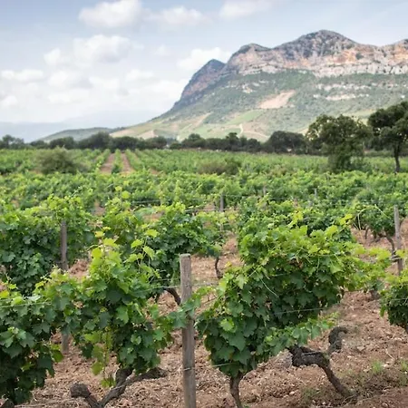 Embarquement Au Marine Du Soleil Appartamento Patrimonio