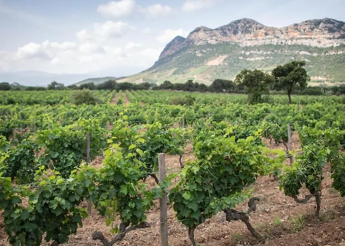 Embarquement Au Marine Du Soleil Daire Patrimonio
