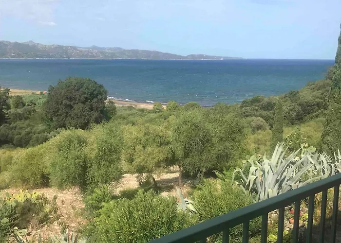 Embarquement Au Marine Du Soleil * 帕特里莫尼奥